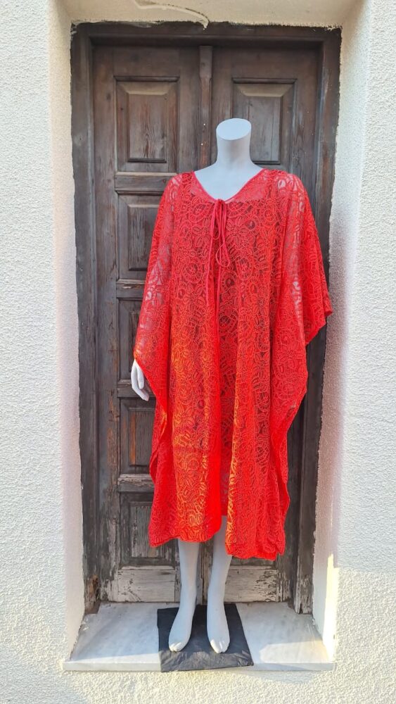 Dry lace butterfly short gown